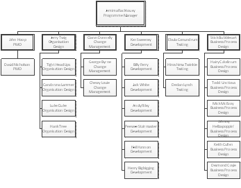 Pmo Structure Chart
